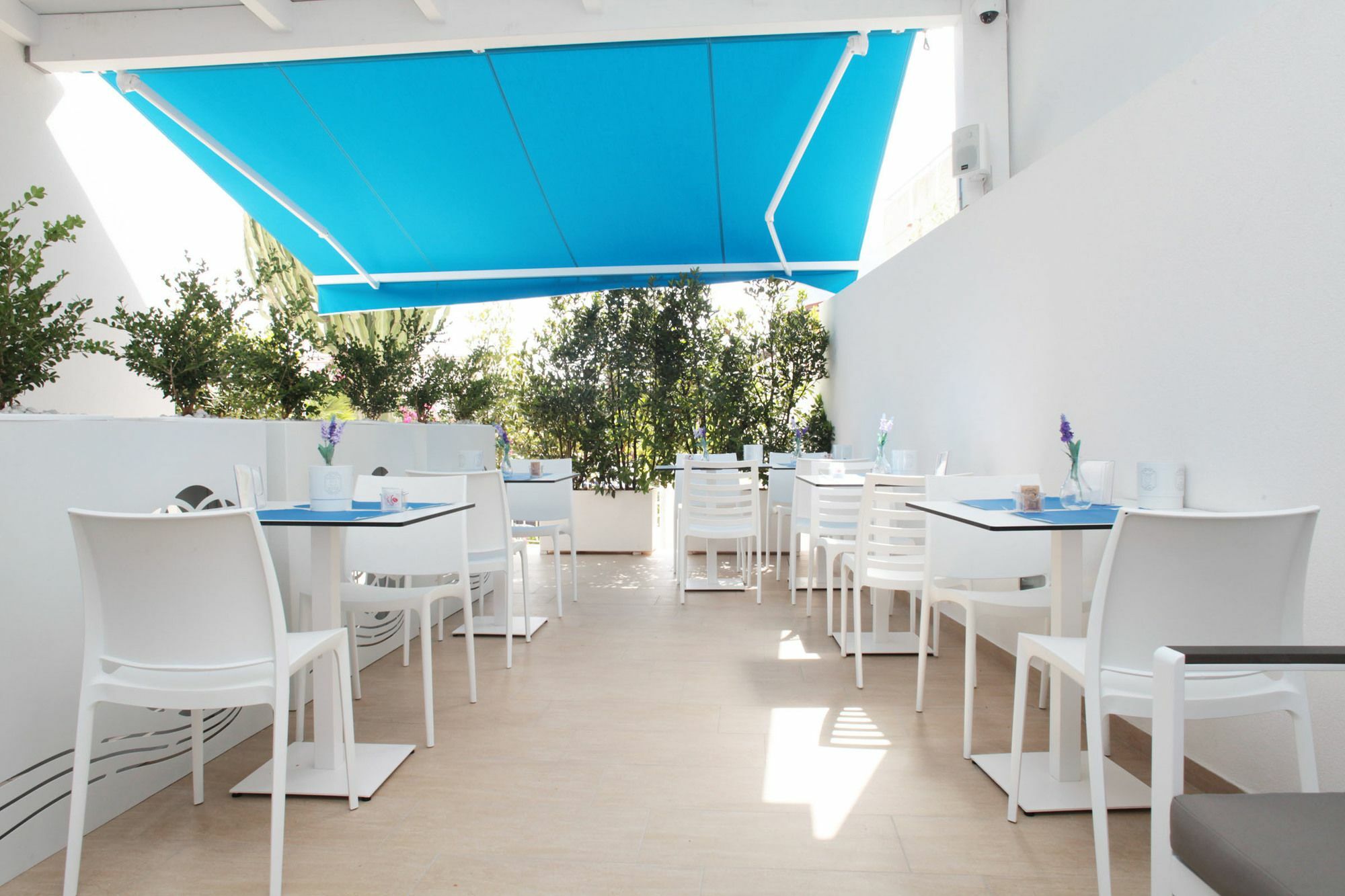 Rivazzurra Design Rooms San Vito Lo Capo Eksteriør bilde