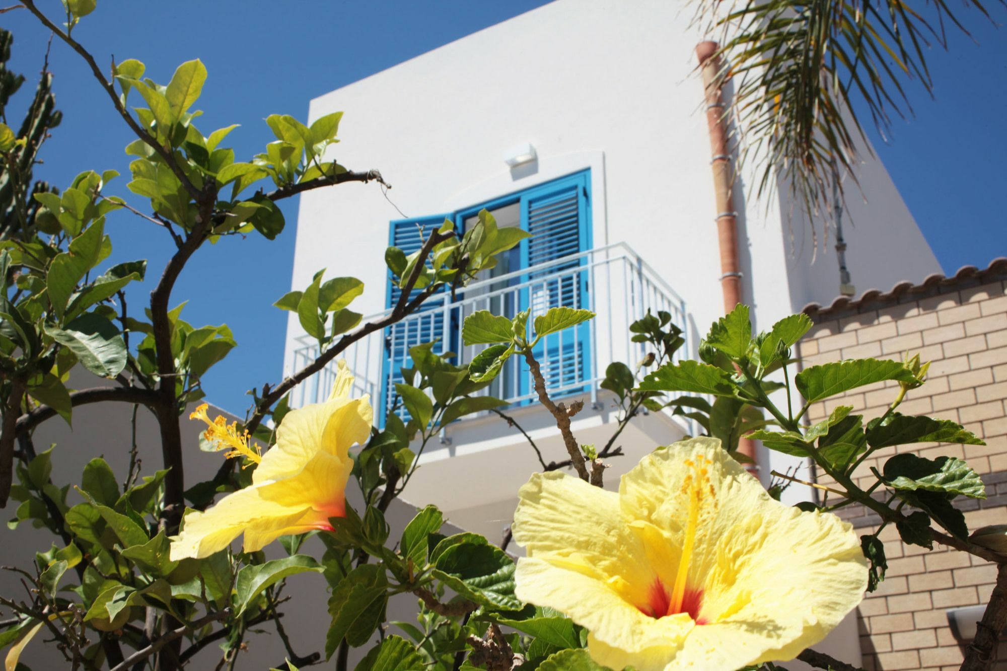 Rivazzurra Design Rooms San Vito Lo Capo Eksteriør bilde